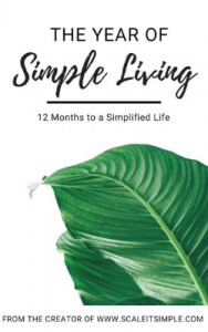 The Year Of Simple Living – Stephanie Parrell | Proactive eBook Written ...