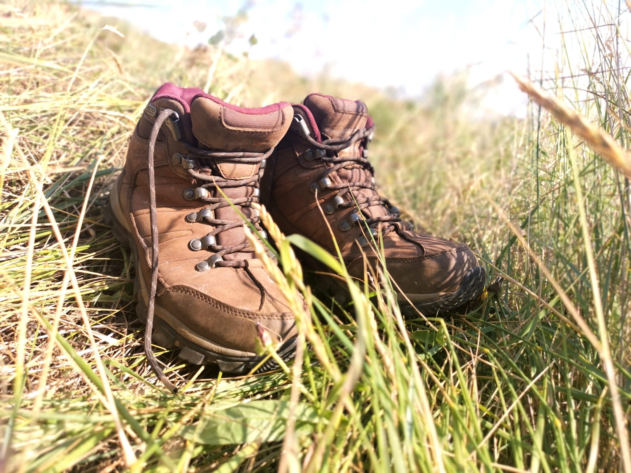 regatta great outdoors boots