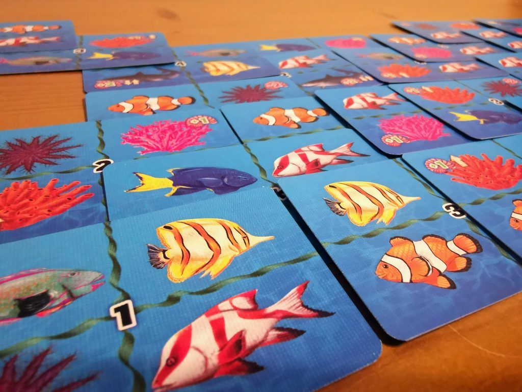 Main image of cards on table for Great Barrier Reef card travel game for adults