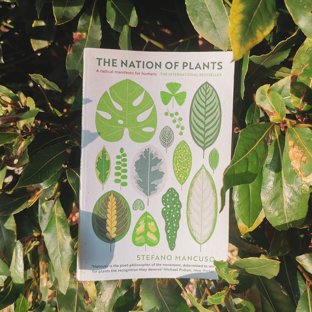Image of book surrounded by a bay leaf plant outside during the day